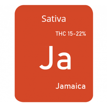 Jamaica