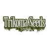 Trikoma Seeds