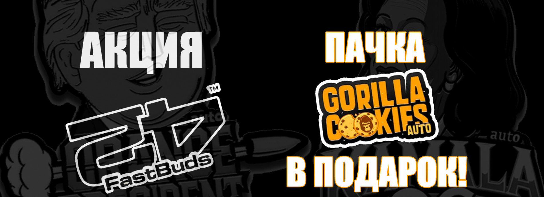 Акция от FastBuds