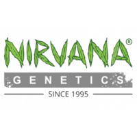 Nirvana