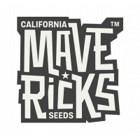 Mavericks Genetics