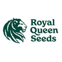 Royal Queen Seeds