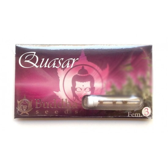 Quasar fem (BudS)