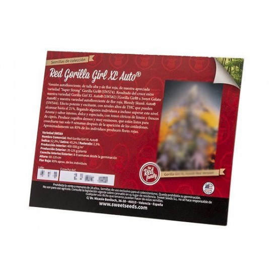 Red Gorilla Girl XL Auto autofem (SwS) Red Gorilla Girl XL Auto autofem (SwS)
