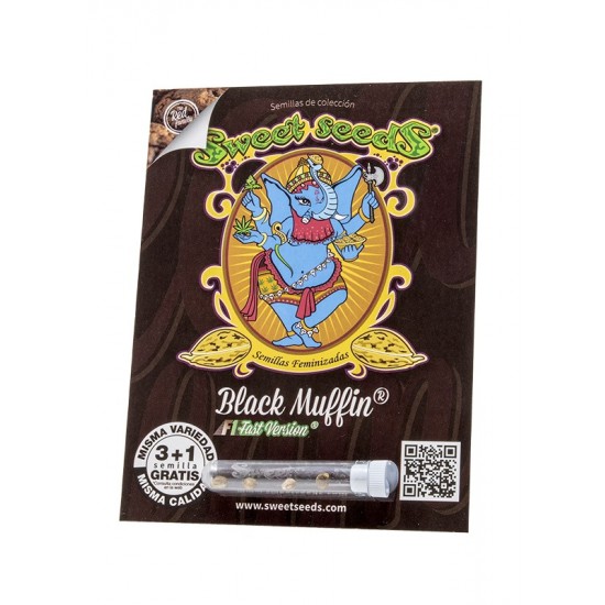 Black Muffin F1 Fast Version fem (SwS) Black Muffin F1 Fast Version fem (SwS)