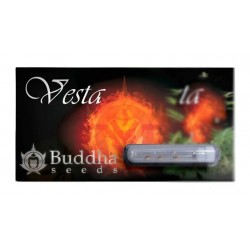 Vesta Auto autofem (BudS)