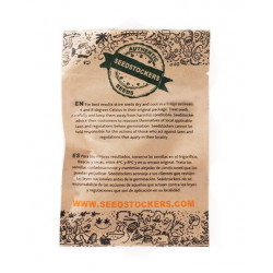 Gorilla Glue Auto autofem (SdSt)