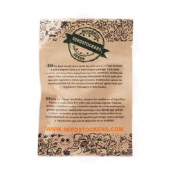 Jack Herer fem (SdSt)