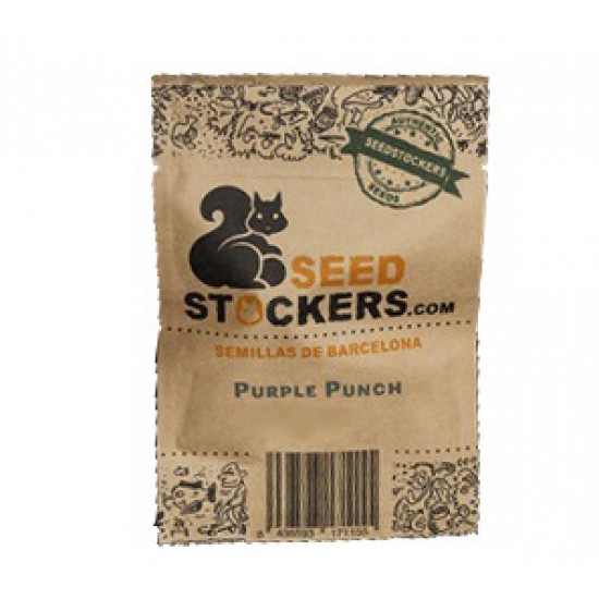 Purple Punch fem (SdSt)