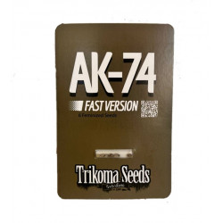 AK-74 Fast Version fem (TrkS)