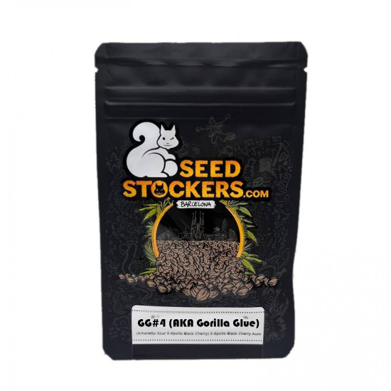 GG4 Auto/Gorilla Glue Auto autofem (SdSt) GG4 Auto/Gorilla Glue Auto autofem (SdSt)
