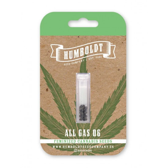All Gas OG fem (HmbSСo)