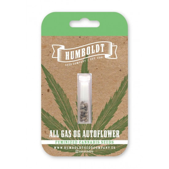 All Gas OG Auto autofem (HmbSCo)