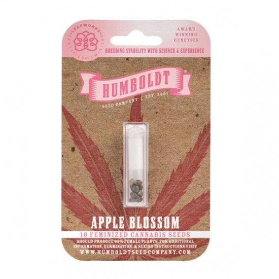 Apple Blossom (Feminised) Fem (HmbSC) Apple Blossom (Feminised) Fem (HmbSC)