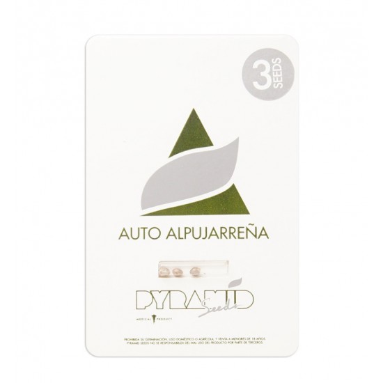 Auto Alpujarreña autofem (Py)