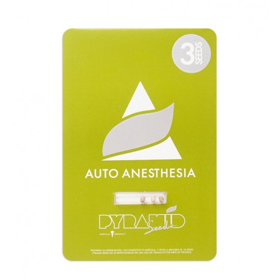 Auto Anesthesia autofem (Py)