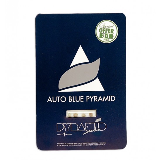 Auto Blue Pyramid autofem (Py)