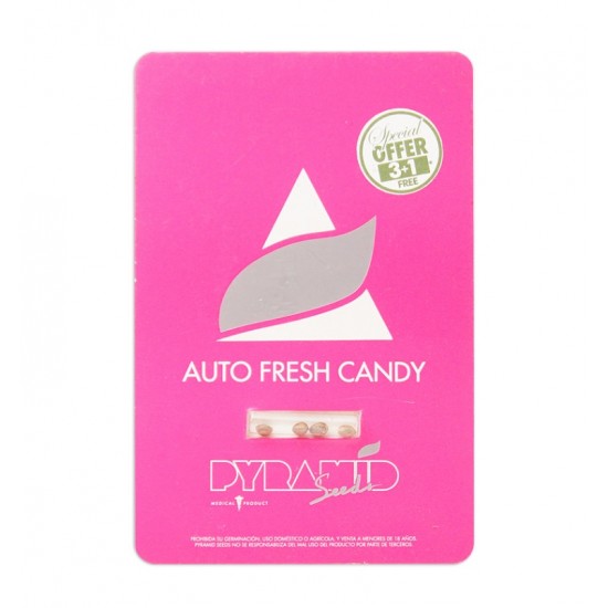 Auto Fresh Candy autofem (Py)