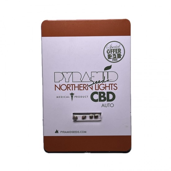 Auto Northern Ligths CBD autofem (Py)