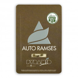 Auto Ramses autofem (Py) NEW 2019