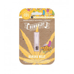 Banana Melt Fem (HmbSC) NEW 2025
