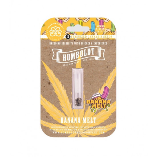 Banana Melt Fem (HmbSC) NEW 2025 Banana Melt Fem (HmbSC) NEW 2025