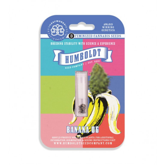 Banana OG Fem (HmbSC) NEW 2025 Banana OG Fem (HmbSC) NEW 2025