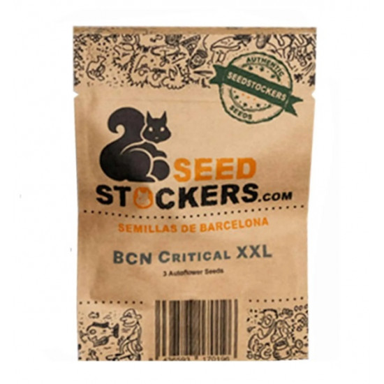 Bcn Critical XXL Auto autofem (SdSt)