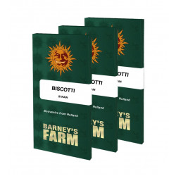 Biscotti fem (Brn)