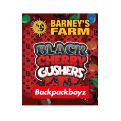 Black Cherry Gushers fem (Brn)