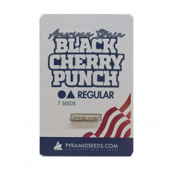 Black Cherry Punch reg (Py)