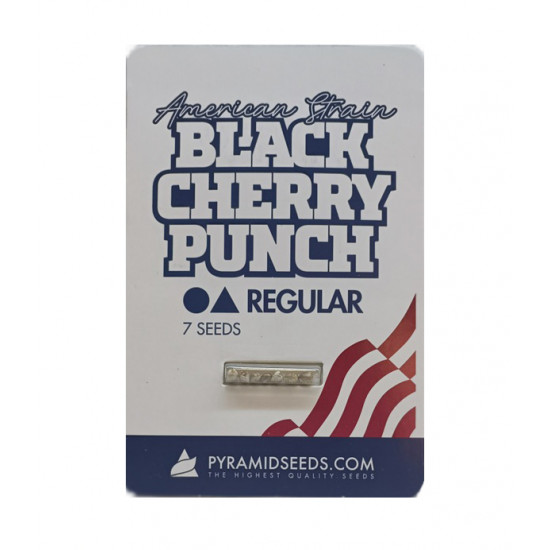 Black Cherry Punch reg (Py)