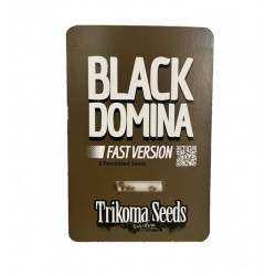 Black Domina Fast Version fem (TrkS)