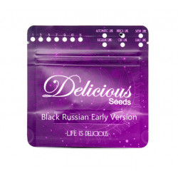 Black Russian Early Version (DelC)