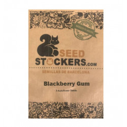 Blackberry Gum Auto autofem (SdSt)