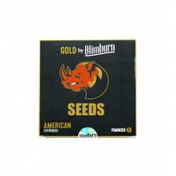 Auto Acapulco Gold autofem (BlimB)