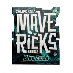Blue Zushi Fem photofem (Mvr)