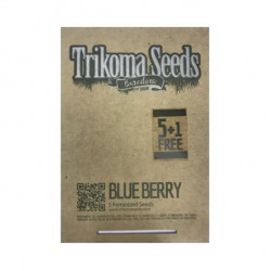 Blueberry fem (TrkS)