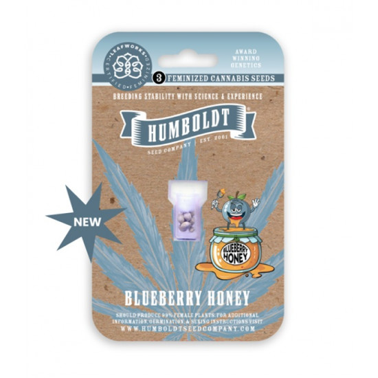 Blueberry Honey Fem (HmbSC) NEW 2026