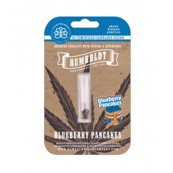 Blueberry Pancakes Fem (HmbSC)