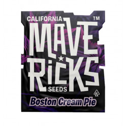 Boston Cream Pie Fem photofem (Mvr)