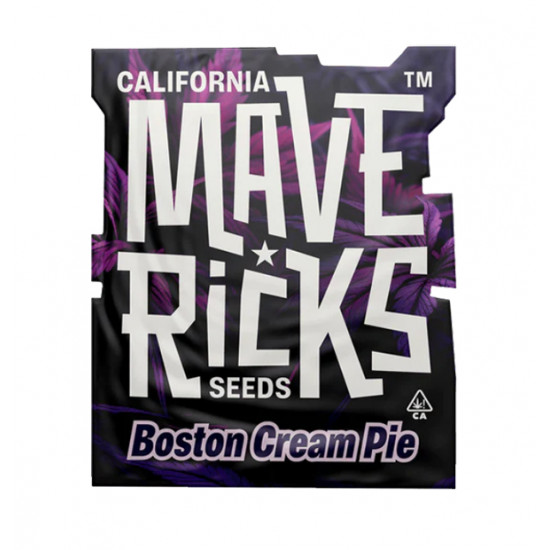 Boston Cream Pie Fem photofem (Mvr)
