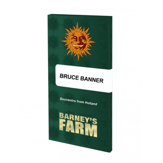 Bruce Banner fem (Brn)