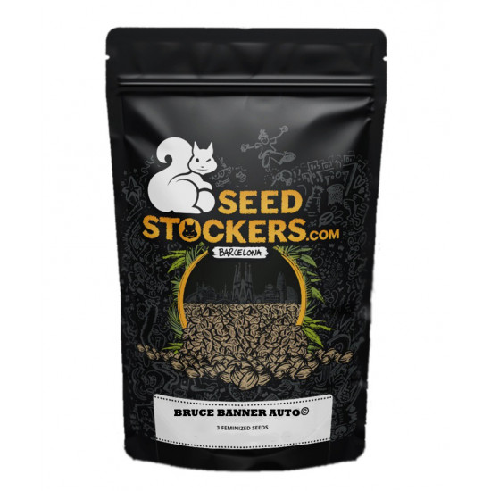 Bruce Banner Auto autofem (SdSt) Bruce Banner Auto autofem (SdSt)