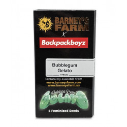 Bubblegum Gelato fem (Brn)