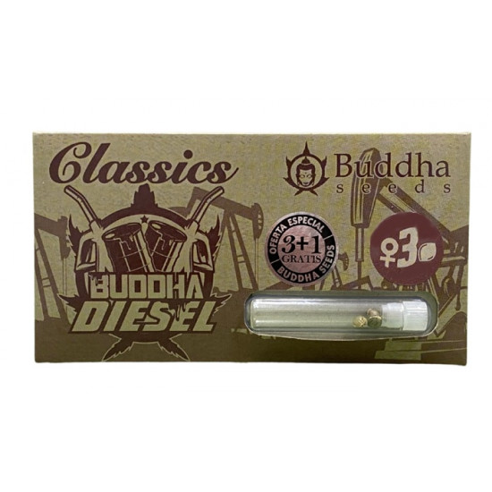 Buddha Diesel fem (BudS) Buddha Diesel fem (BudS)