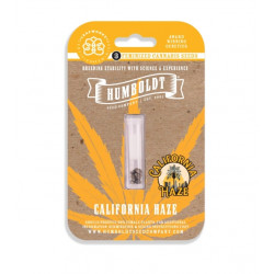 California Haze Fem (HmbSC) NEW 2025