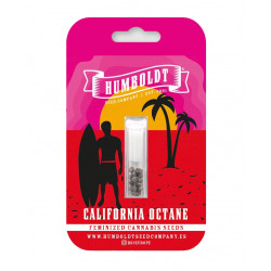 California Octane (Feminised) Fem (HmbSC)