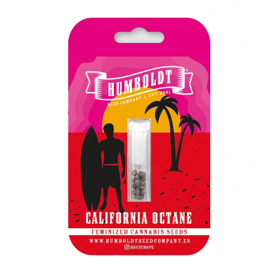 California Octane (Feminised) Fem (HmbSC) California Octane (Feminised) Fem (HmbSC)
