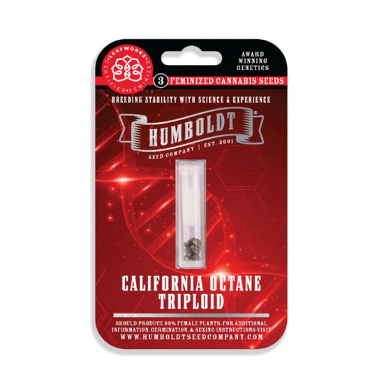 California Octane Triploid Fem (HmbSC) NEW 2026